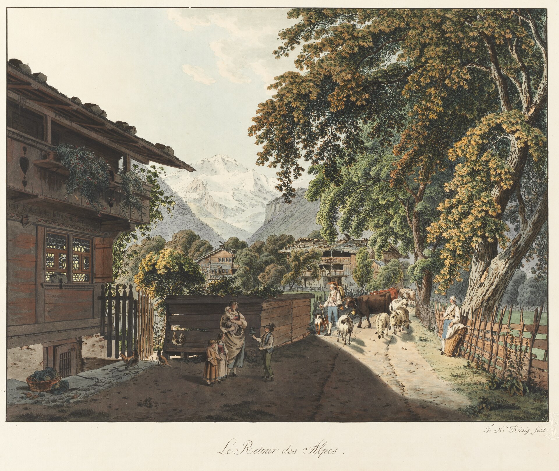 Sammlung Christian Sigrist – Natur &