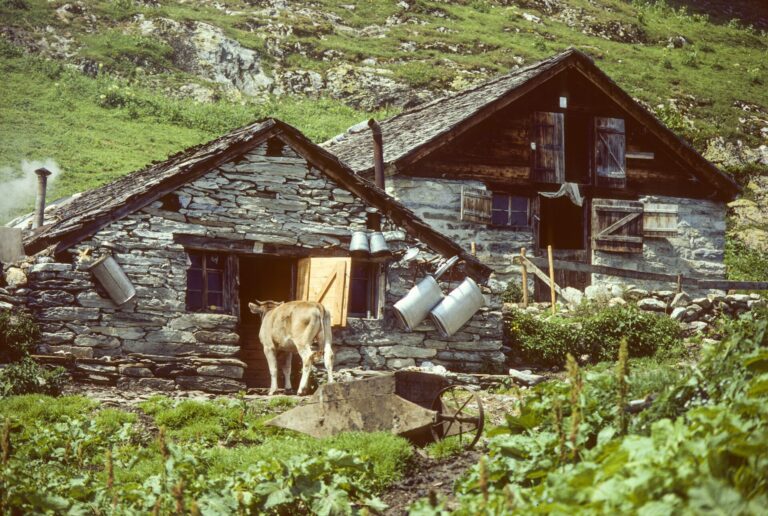 Realp – Landwirtschaft (1979)