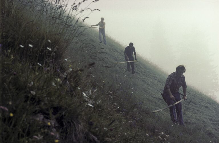 Ringgenberg BE – Landwirtschaft (1982)