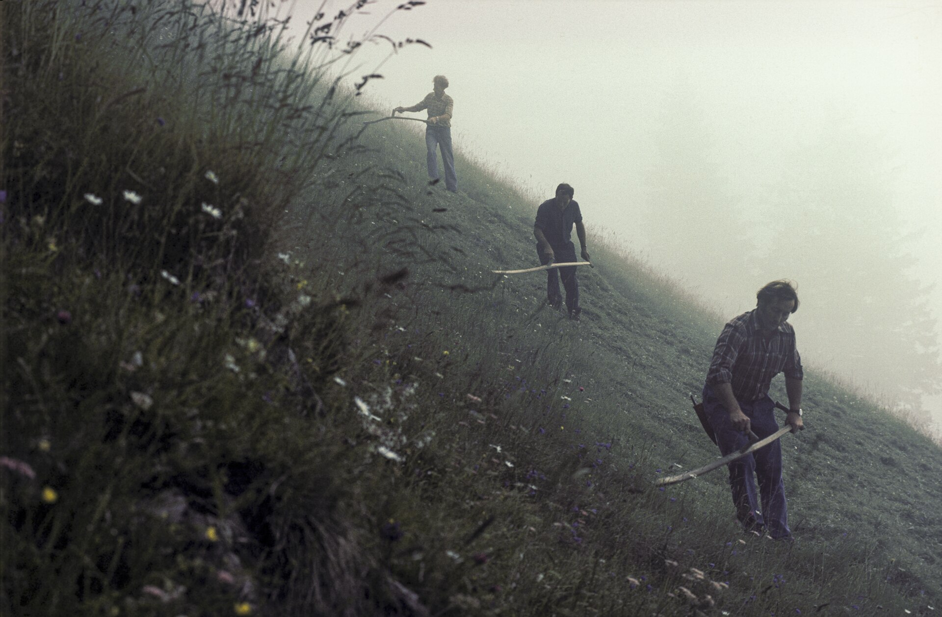 Ringgenberg BE – Landwirtschaft (1982)
