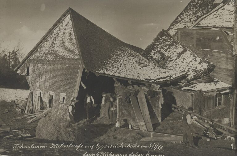 Eggersriet – Schattenseiten (1919)