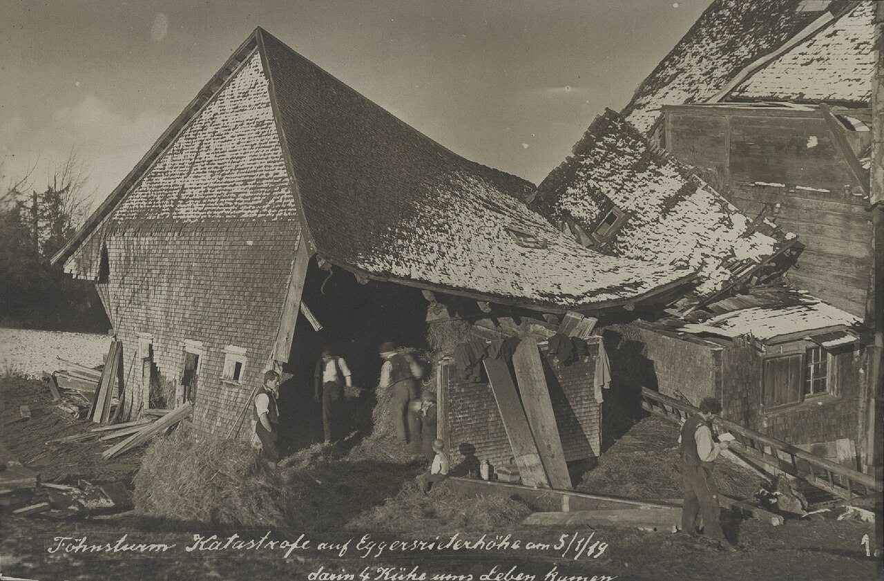Eggersriet – Schattenseiten (1919)