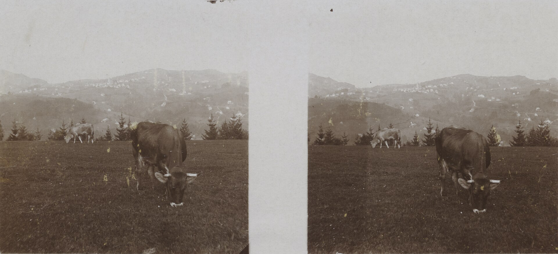 Trogen AR – Landwirtschaft (1910)