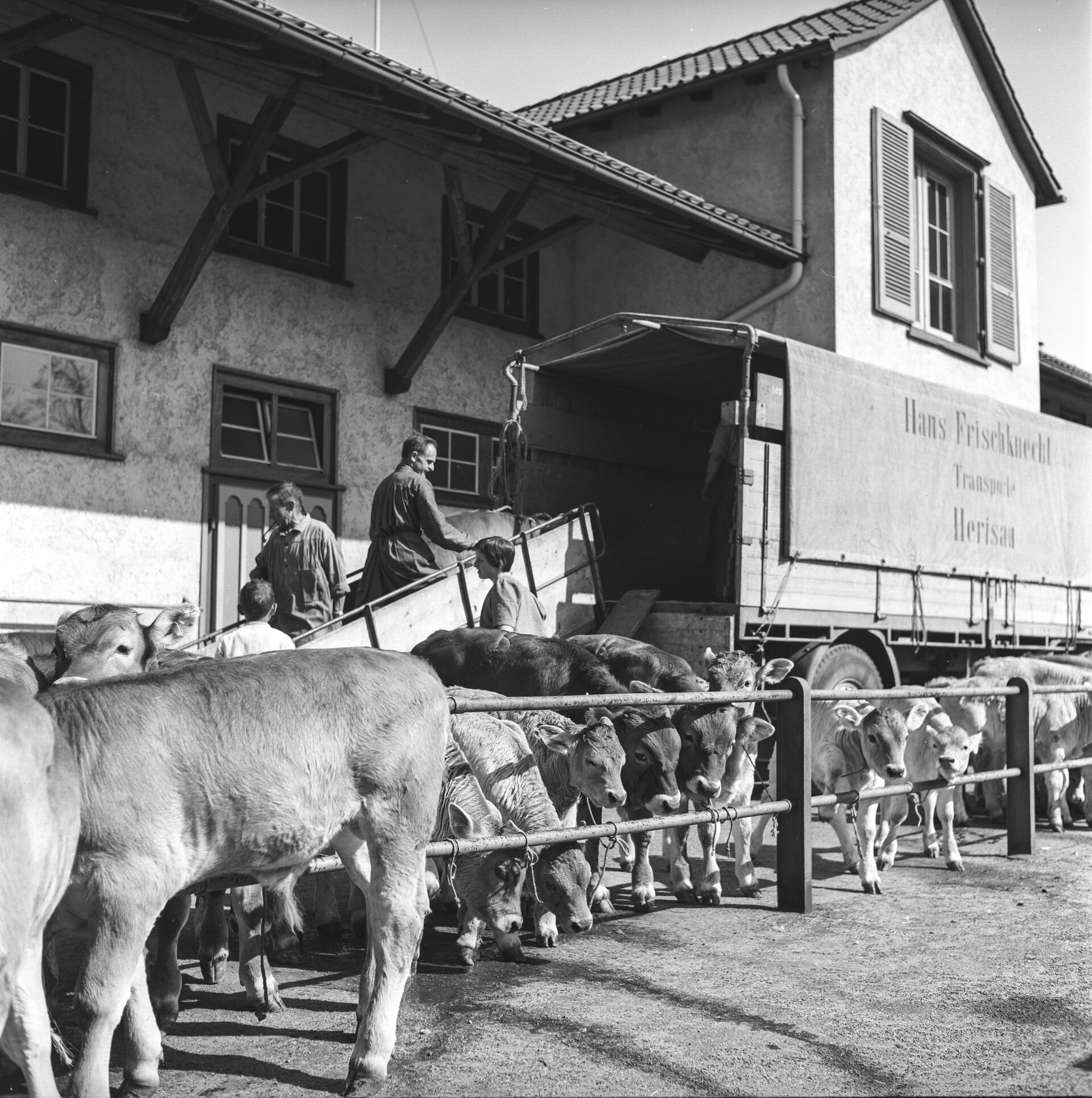 Herisau – Landwirtschaft (1963)