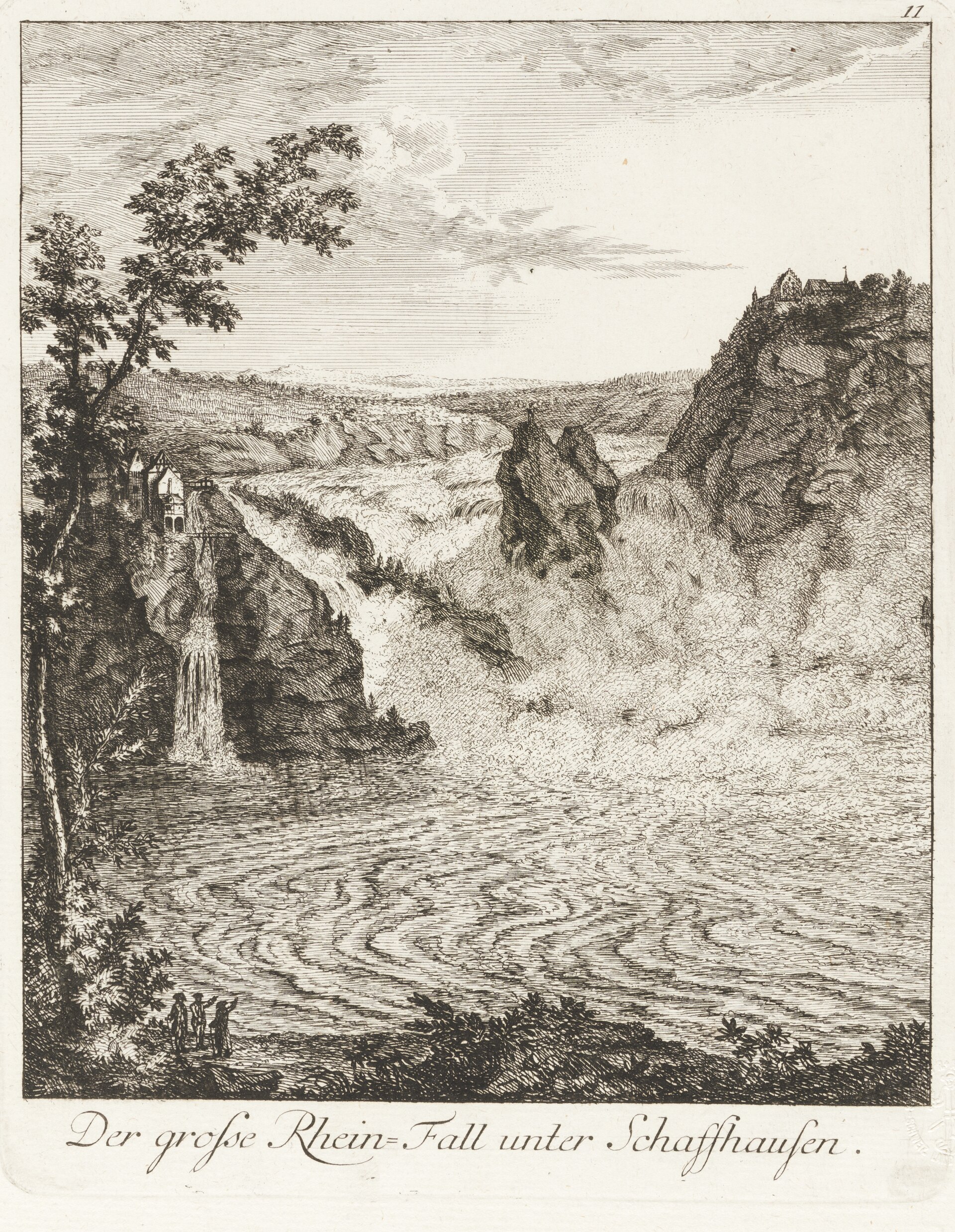 Neuhausen am Rheinfall – Natur &amp