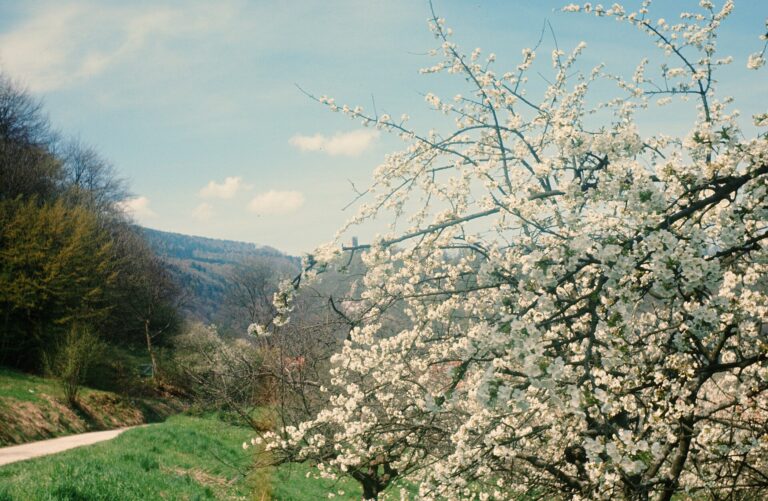 Pfeffingen BL – Verschwundene Orte (1968)