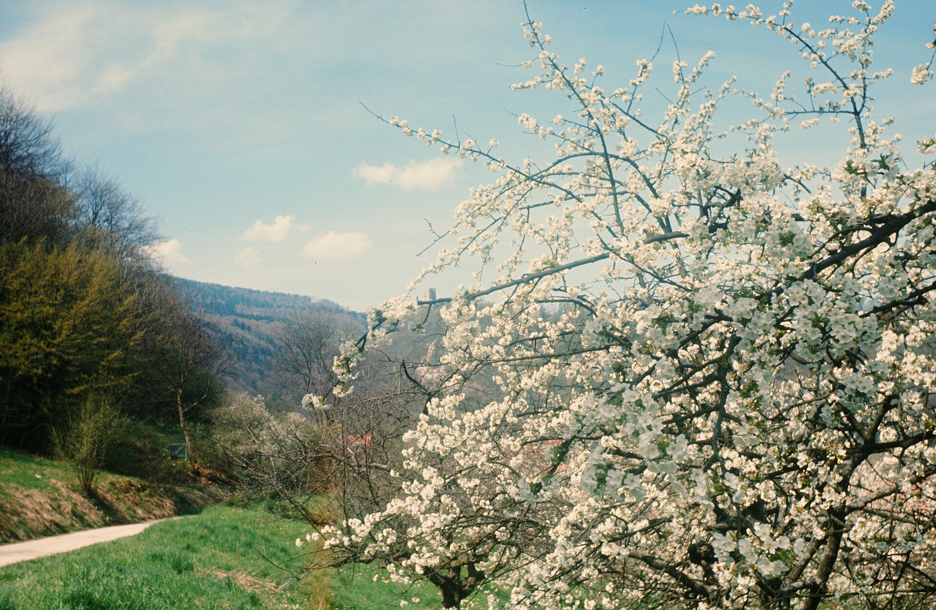 Pfeffingen BL – Verschwundene Orte (1968)