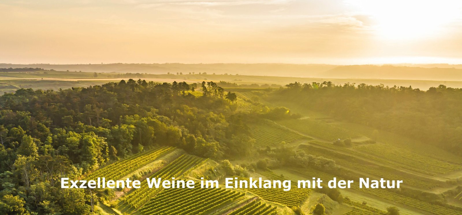 Auswandern in die Schweiz – damals und heute
